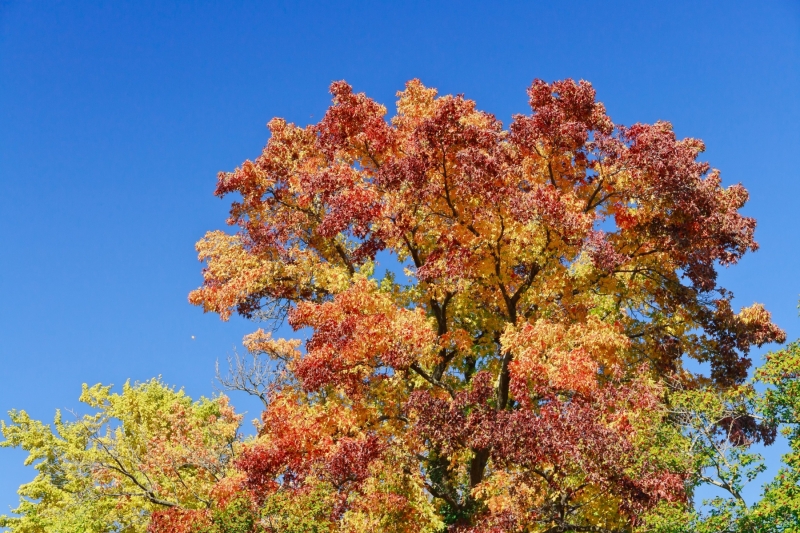 shutterstock_166127372